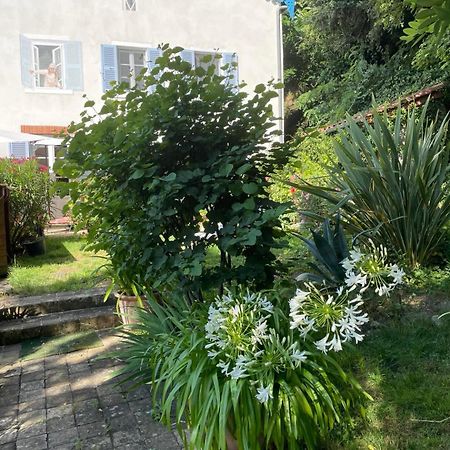 Les Agapanthes Bed & Breakfast Vaux-en-Beaujolais Exterior photo