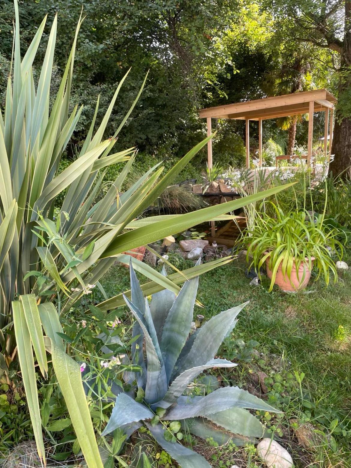 Les Agapanthes Bed & Breakfast Vaux-en-Beaujolais Exterior photo