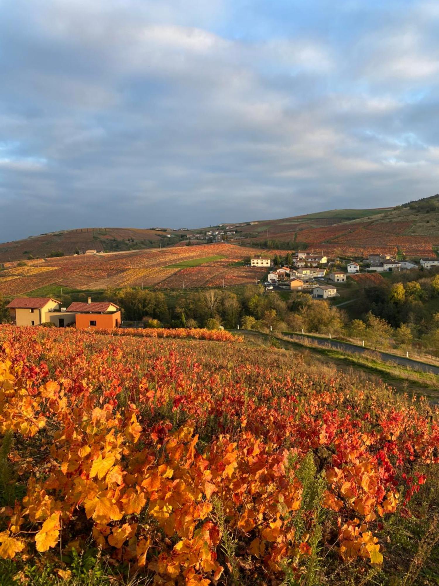 Les Agapanthes Bed & Breakfast Vaux-en-Beaujolais Exterior photo