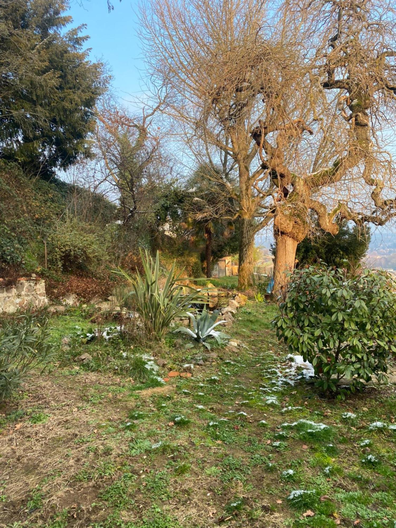 Les Agapanthes Bed & Breakfast Vaux-en-Beaujolais Exterior photo